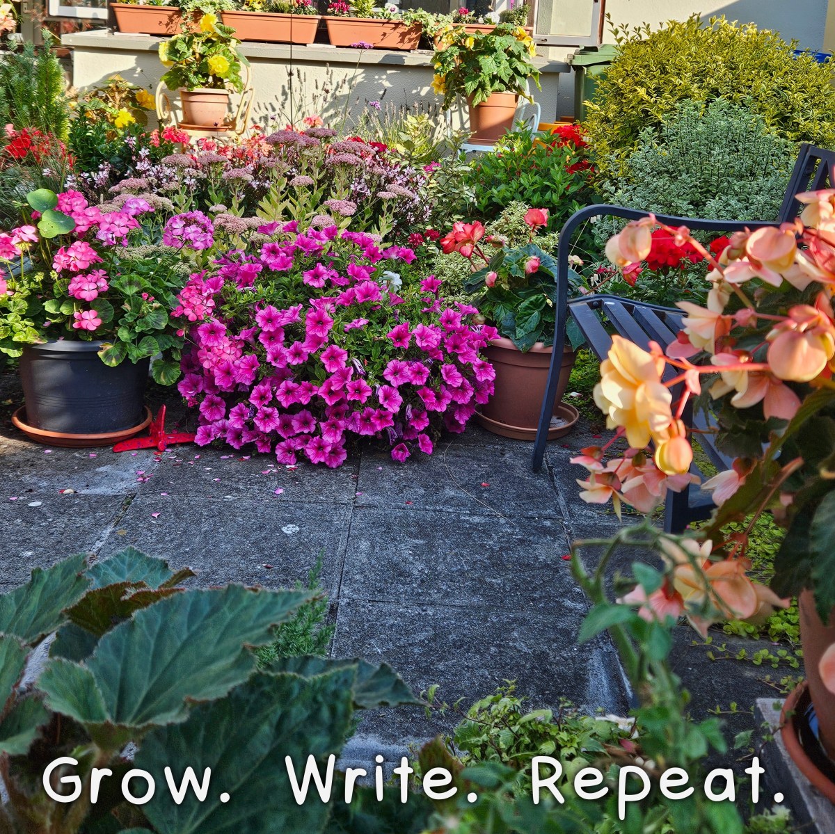 From Flower Pot to Paint&nbsp;Pot